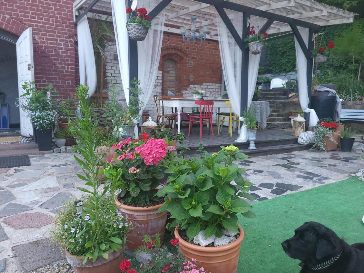 Krzywa Apartamenty Lidzbark Warmiński Zewnętrze zdjęcie